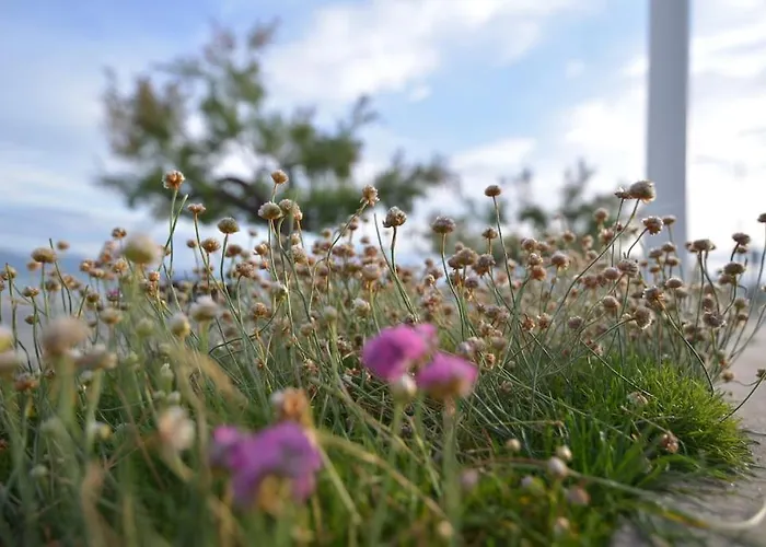 Lejlighed Apartamento De Sta Alicia Sardinero By Just *