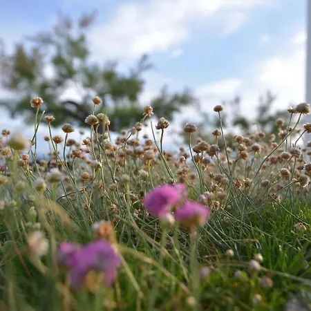 Lejlighed Apartamento De Sta Alicia Sardinero By Just *